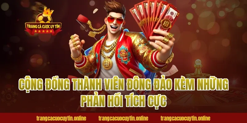 Cộng đồng thành viên đông đảo kèm những phản hồi tích cực